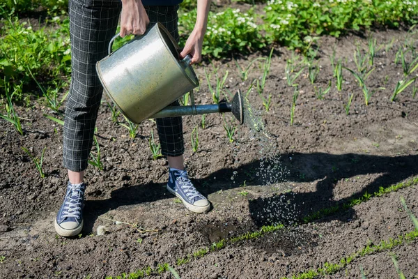 Petani wanita di kebun di desanya. Eco tumbuh. Berkebun di halaman belakang — Stok Foto