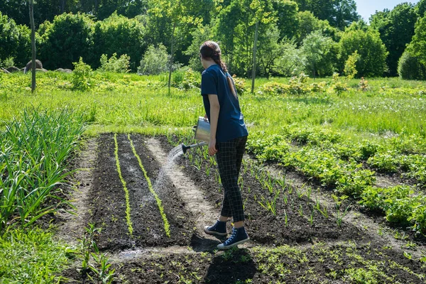 Petani wanita di kebun di desanya. Eco tumbuh. Berkebun di halaman belakang — Stok Foto