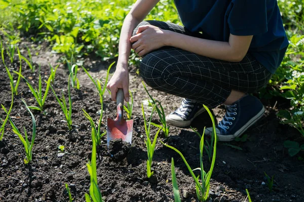 Petani gadis menggali dengan sekop di kebun — Stok Foto