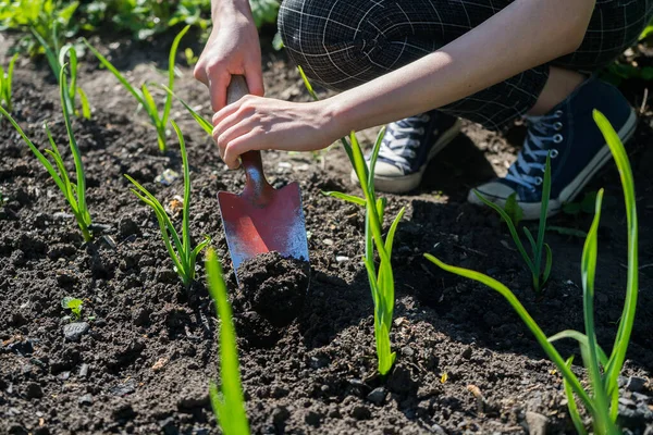 Petani gadis menggali dengan sekop di kebun — Stok Foto