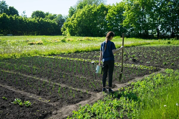 Petani wanita bekerja di kebun sayur di halaman belakang — Stok Foto