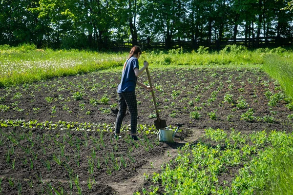 Petani wanita bekerja di kebun sayur di halaman belakang — Stok Foto