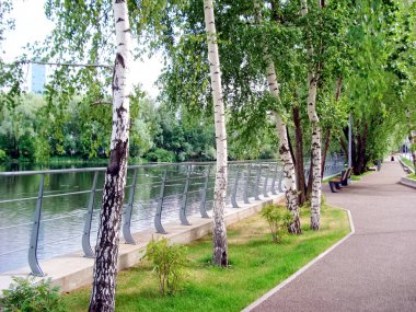 Quay güzel ağaçlar ile.