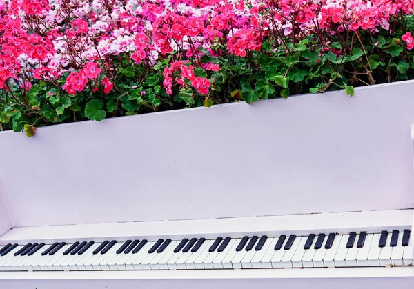 Dekoratives Klavier, aus dem Blumen wachsen. — Stockfoto