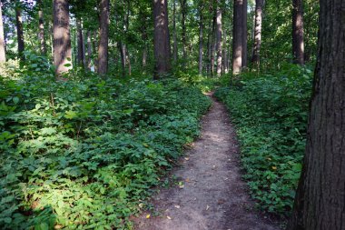 Şehir yaz Park yolundaki.
