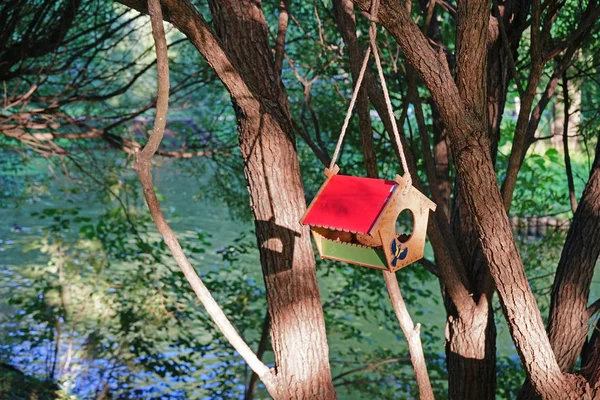 Birdhouse com um telhado vermelho pendurado em uma árvore perto do rio . — Fotografia de Stock