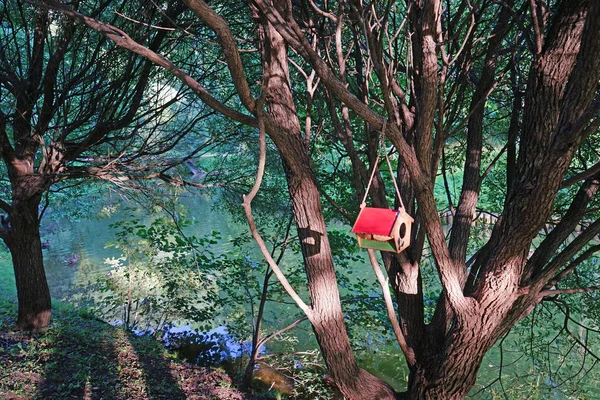 Birdhouse con un tetto rosso appeso ad un albero vicino al fiume . — Foto Stock