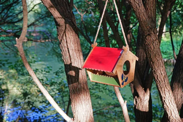在河边的一棵树上挂着红色屋顶的鸟屋. — 图库照片