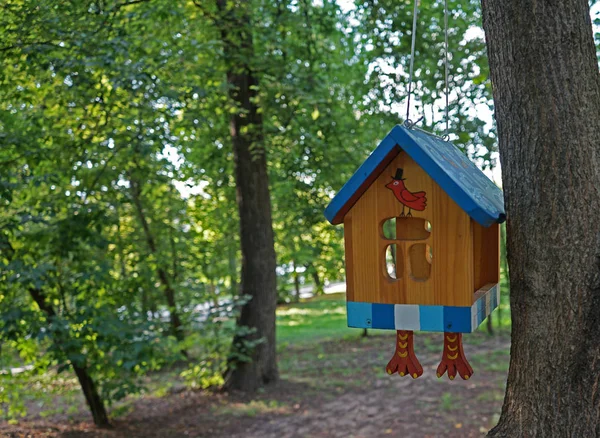 La casa original para pájaros en una rama de árbol en el parque de la ciudad . —  Fotos de Stock