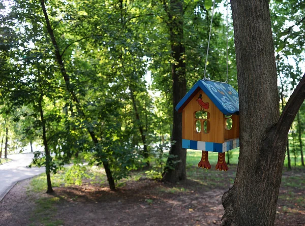 Původní dům pro ptáky na větev stromu v city parku. — Stock fotografie