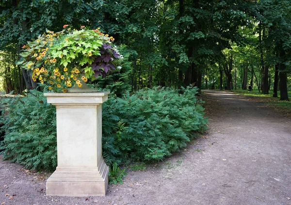 Vaso com flores e um caminho no parque da cidade . — Fotografia de Stock