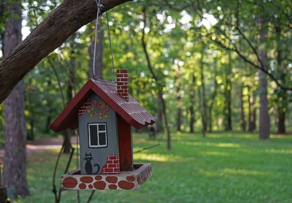 Az eredeti ház madarak egy fa ága, a város Park. — Stock Fotó