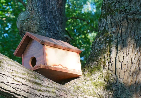 A ház a madarak meg egy fa törzse a parkban. — Stock Fotó