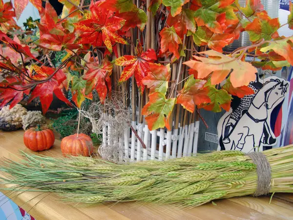 Осенняя композиция с красно-зелеными листьями клена и тыквами . — стоковое фото