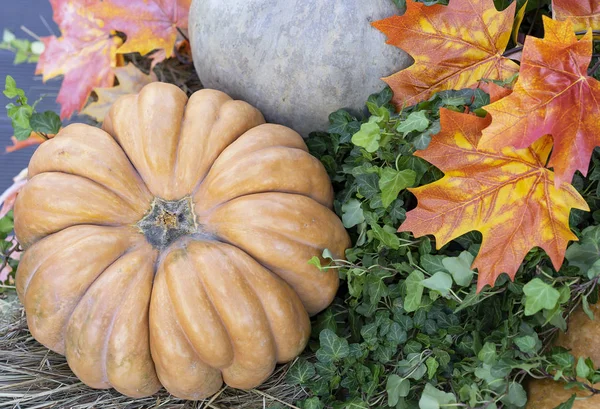 Autumn composition with pumpkins and maple leaves. — Stock Photo, Image