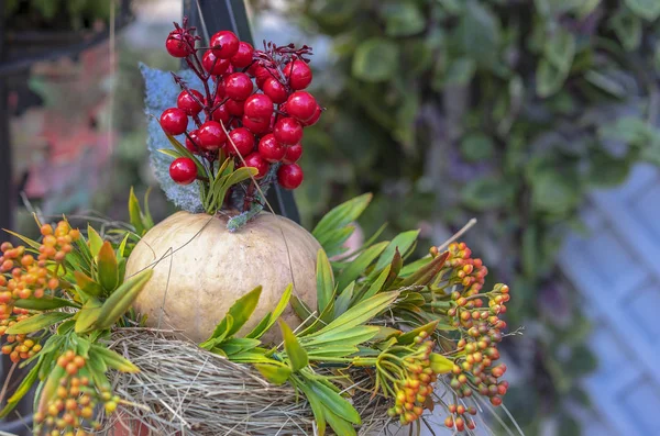 Осенняя композиция с тыквой, цветами и красными ягодами . — стоковое фото