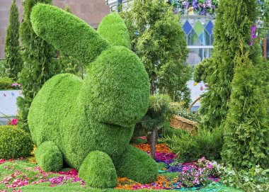 Topiary tekniği kullanılarak yeşil çimenden yapılmış Paskalya tavşanı.