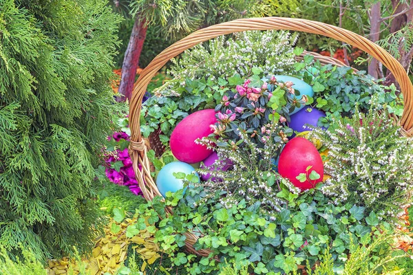 Цветные пасхальные яйца в плетеной корзине на естественном фоне . — стоковое фото