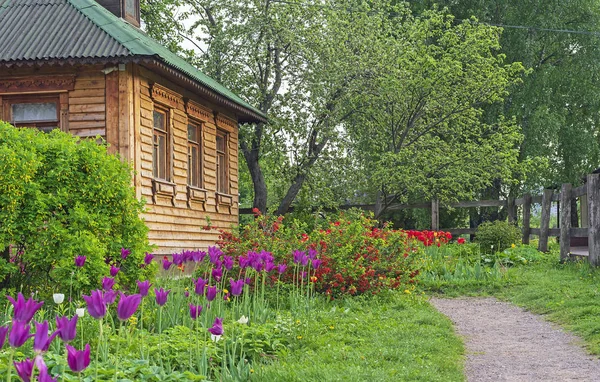 Casa de madeira com um jardim de primavera florido no campo . — Fotografia de Stock