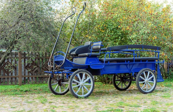 Blue horse carriage for transporting passengers. — Stock Photo, Image