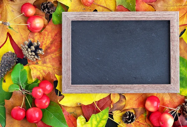 Outono. Moldura preta em um contexto de folhas de outono brilhantes e maçãs de paraíso . — Fotografia de Stock