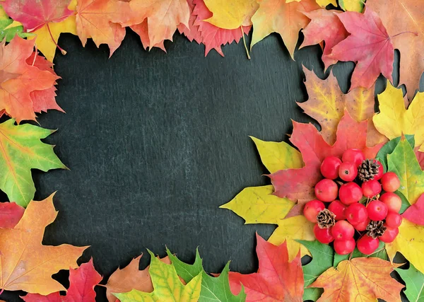 Autumn. Frame with autumn leaves and paradise apples on a black chalkboard. — Stock Photo, Image