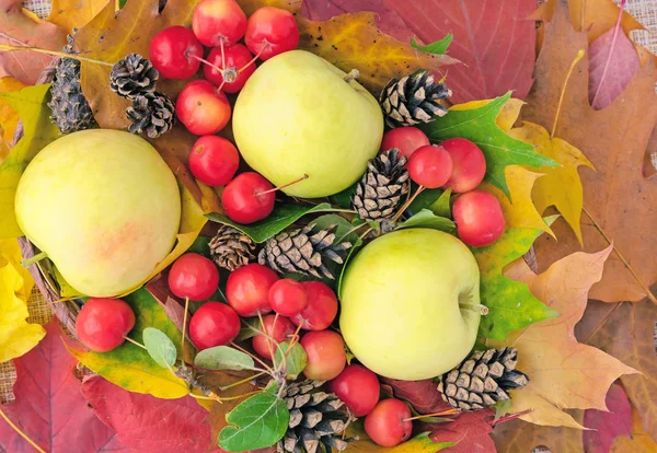 Autumn. Autumn composition with leaves, paradise apples and pine cones. — Stock Photo, Image