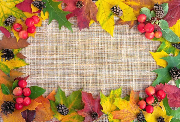 Autumn. Frame with autumn leaves, paradise apples and pine cones. — Stock Photo, Image