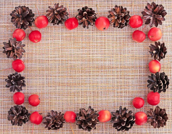 Autumn. Frame of pine cones and paradise apples on a beige background. — Stock Photo, Image