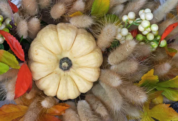 Composizione autunnale con zucca piccola, foglie e spighette . — Foto Stock