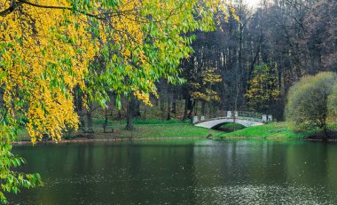 Sonbahar manzarası. Göl ve ağaçlar sarı yapraklı.