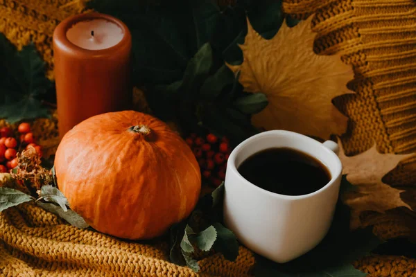 Kürbisse mit Herbstblättern in einer kuscheligen Strickdecke mit einer Tasse — Stockfoto