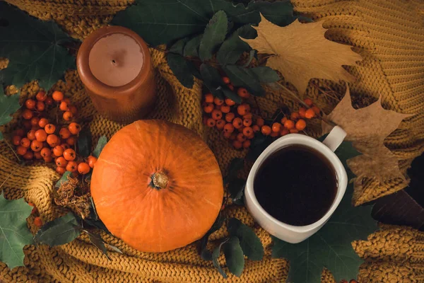 Kaffeebecher, kuscheliger Strickschal, Herbstblätter und Kürbis. Herbstliches Stillleben. Flache Lage. — Stockfoto