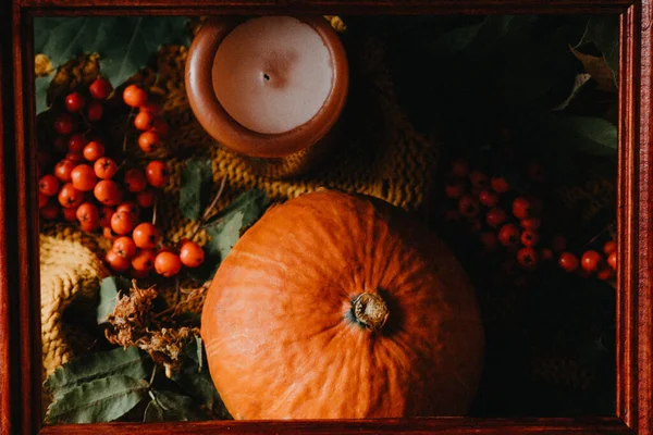 Осенние листья, теплый шарф и тыква на деревянной доске. Вид сверху. Плоский лежал. — стоковое фото