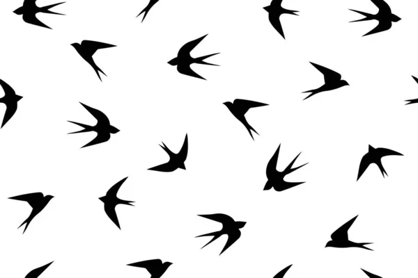 Des Hirondelles Oiseaux Noirs Sur Fond Blanc Illustration Vectorielle Sans — Image vectorielle