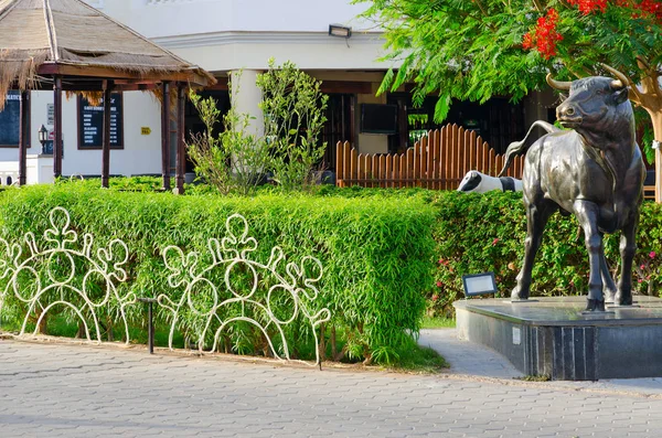 Sharm Sheikh Egypten Maj 2018 Skulptur Bull Gata Populära Shopping — Stockfoto