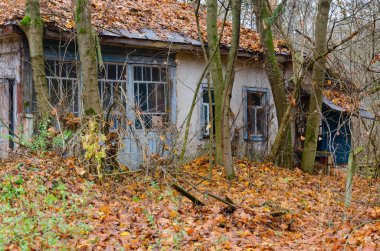 Geç sonbaharda, Ukrayna Çernobil (Chernobyl dışlama bölgesi), konut dışı bölümünde tek katlı evi terk