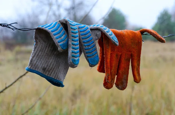 Dirty work gloves hanging on barbed wire in Chernobyl NPP Exclusion Zone, Ukraine