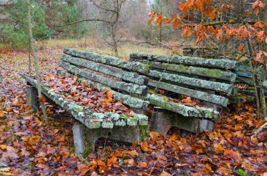 Banklar, Ukrayna liken, terk edilmiş hayalet şehre Pripyat dışlama bölgesi Çernobil nükleer enerji santrali, caddeleri üzerinde ile kaplı