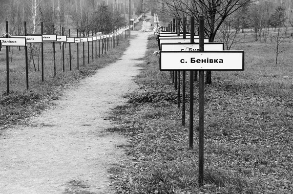 Çernobil Ukrayna Kasım 2018 Sokakta Bellek Yıldız Pelin Memorial Chernobyl — Stok fotoğraf