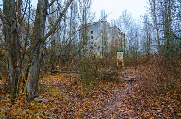 Thickets Center Abandoned Ghost Town Pripyat Chernobyl Npp Exclusion Zone — Stock Photo, Image