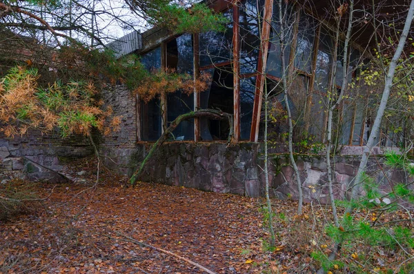 Destrucción Construcción Cafetería Pripyat Matorrales Ciudad Fantasma Muerta Pripyat Zona — Foto de Stock