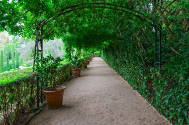 Bir Lloret De Mar, İspanya - 9 Eylül 2018: Bahçeleri, Saint Clotilde popüler tatil şehir Lloret de Mar, Costa Brava, Katalonya, İspanya