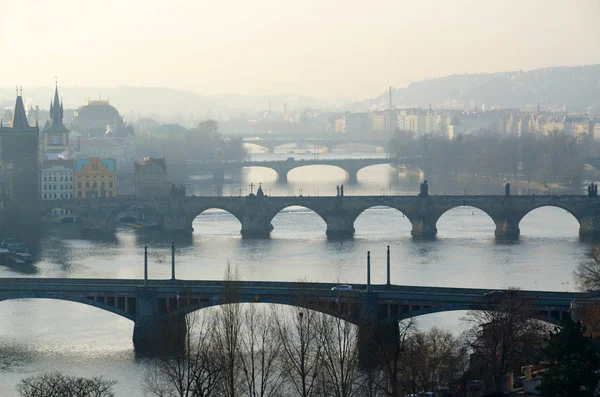 Pěkné Ráno Pohled Mostů Řeku Vltavu Ochozu Ganavsky Pavilon Praha — Stock fotografie