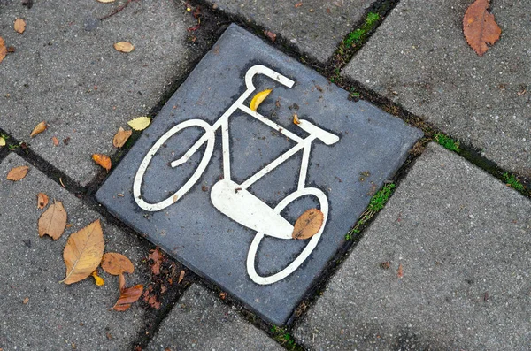 Marcação Rodoviária Cycle Path Amesterdão Países Baixos — Fotografia de Stock