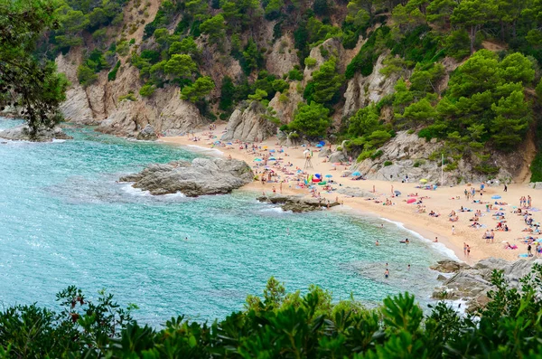 Hermosa vista superior de la playa de Sa Boadella en Lloret de Mar, Costa Brava, Cataluña, España —  Fotos de Stock