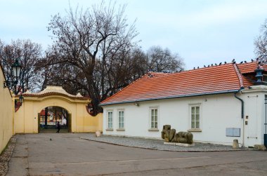 Kampa Adası Çağdaş Sanat Müzesi, Prag, Çek Cumhuriyeti