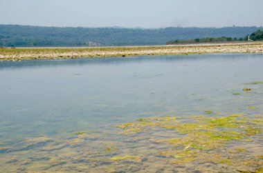 Beas Nehri manzarası Nadaun Himachal Pradesh Hindistan Hayır. 101