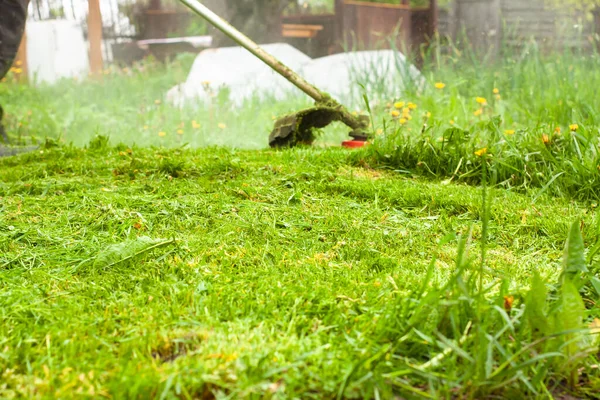 Homem Corta Gramado Com Cortador Gás Com Uma Linha Pesca — Fotografia de Stock