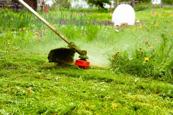 a man mows the lawn with a gas mower with a fishing line